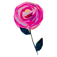 pink rose 3