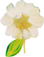carrie schmit white flower